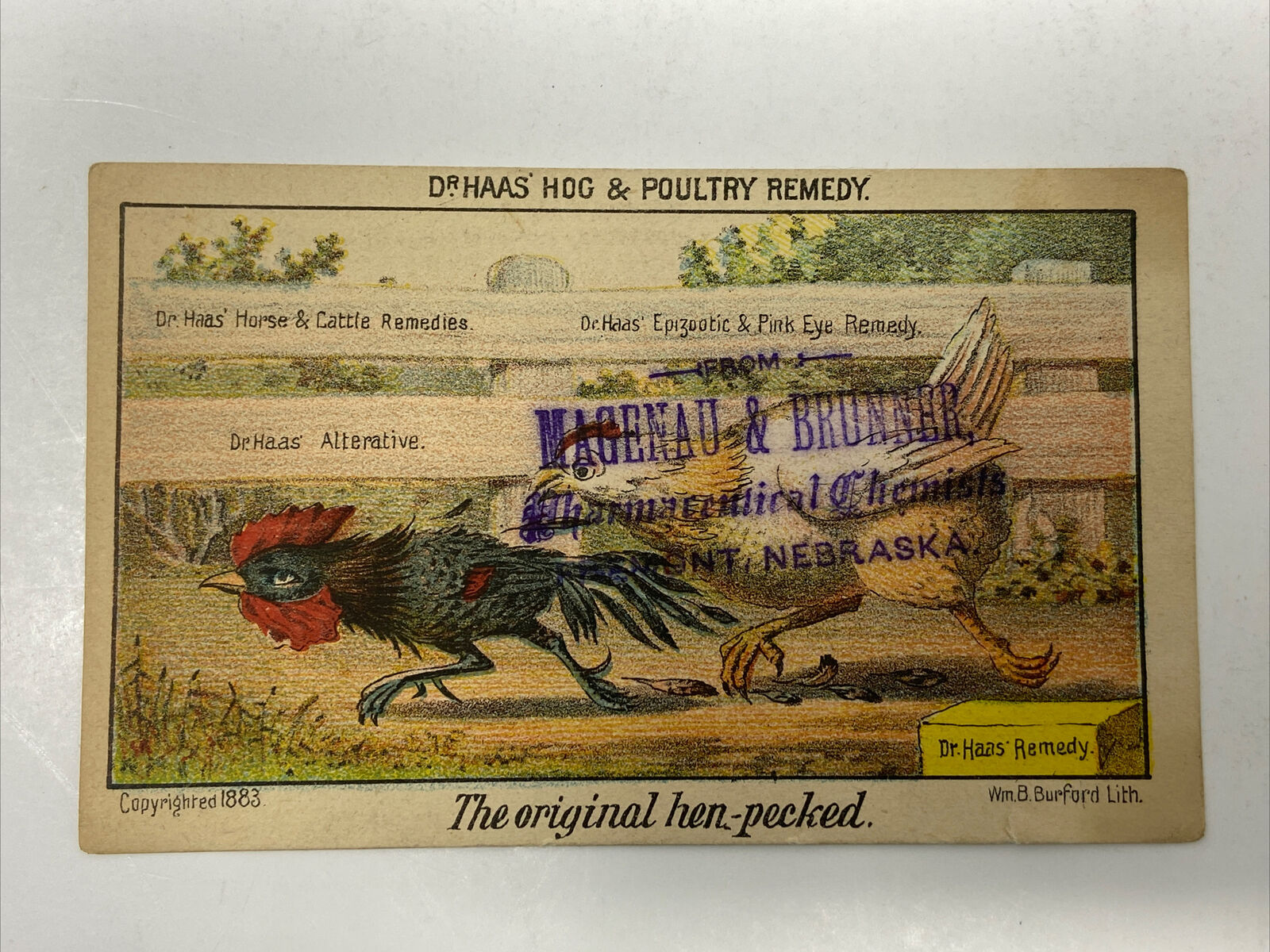 Dr Haas Hog Poultry Remedy Victorian Trade Card The Original Hen-Pecked Rooster