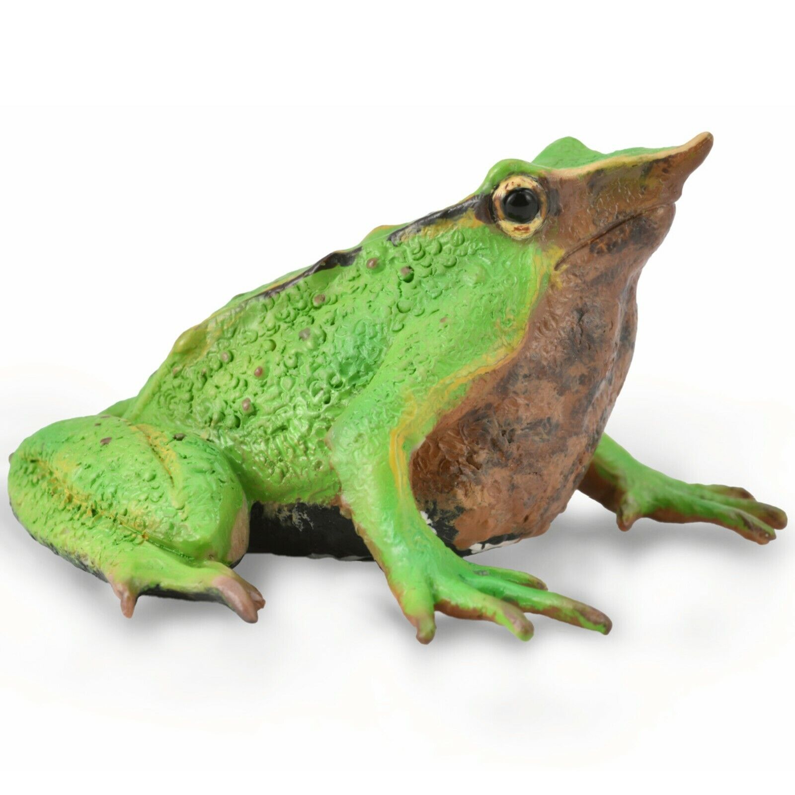 NEW CollectA 88938 Darwin\'s Frog