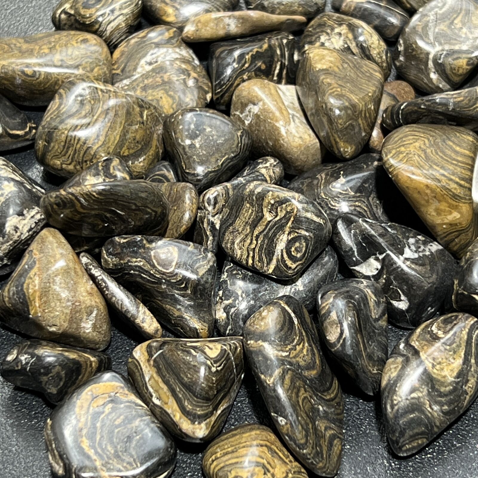Bulk Wholesale Lot 1 LB Tumbled Stromatolite One Pound Polished Stones Natural