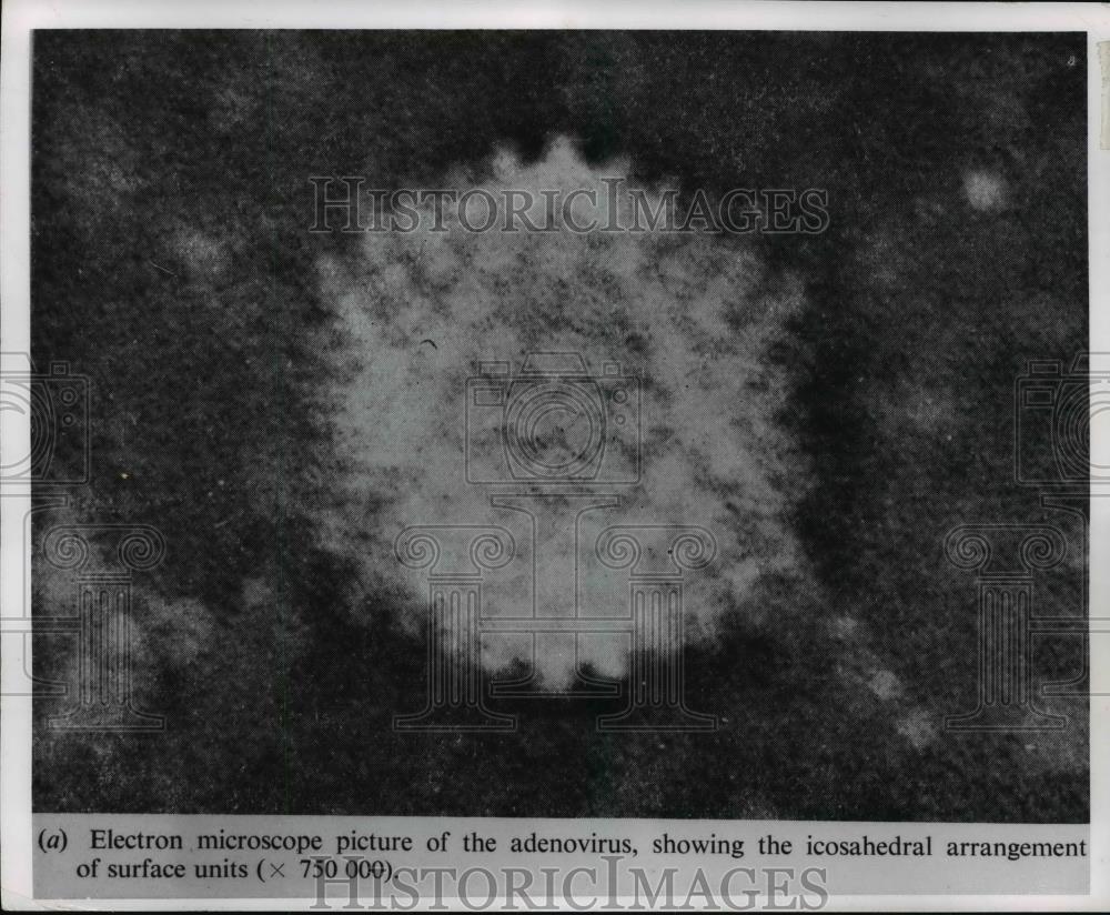1970 Press Photo Electron microscope picture of the adenovirus - cvb57541
