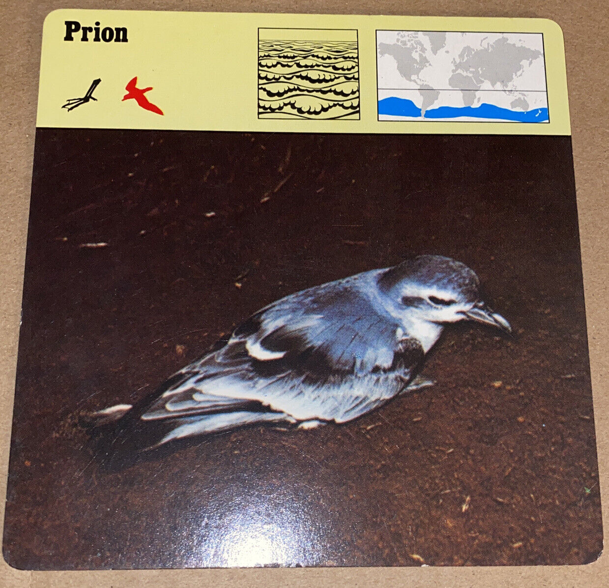 Vintage 1976 Animal Card - Prion - Printed In Japan