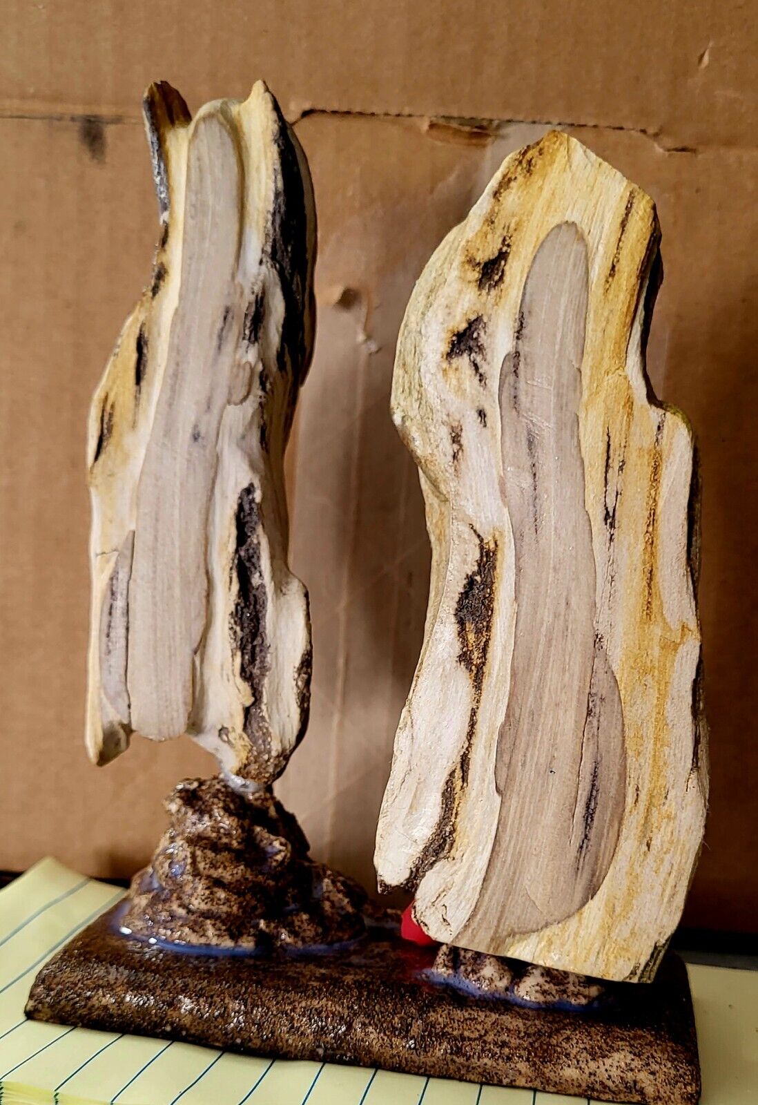 Polished Agatized / Petrified Wood from Texarkansas  Ready to display