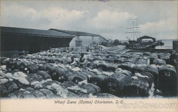 Charleston,SC Wharf Scene,Cotton Bales Berkeley,Charleston County Postcard