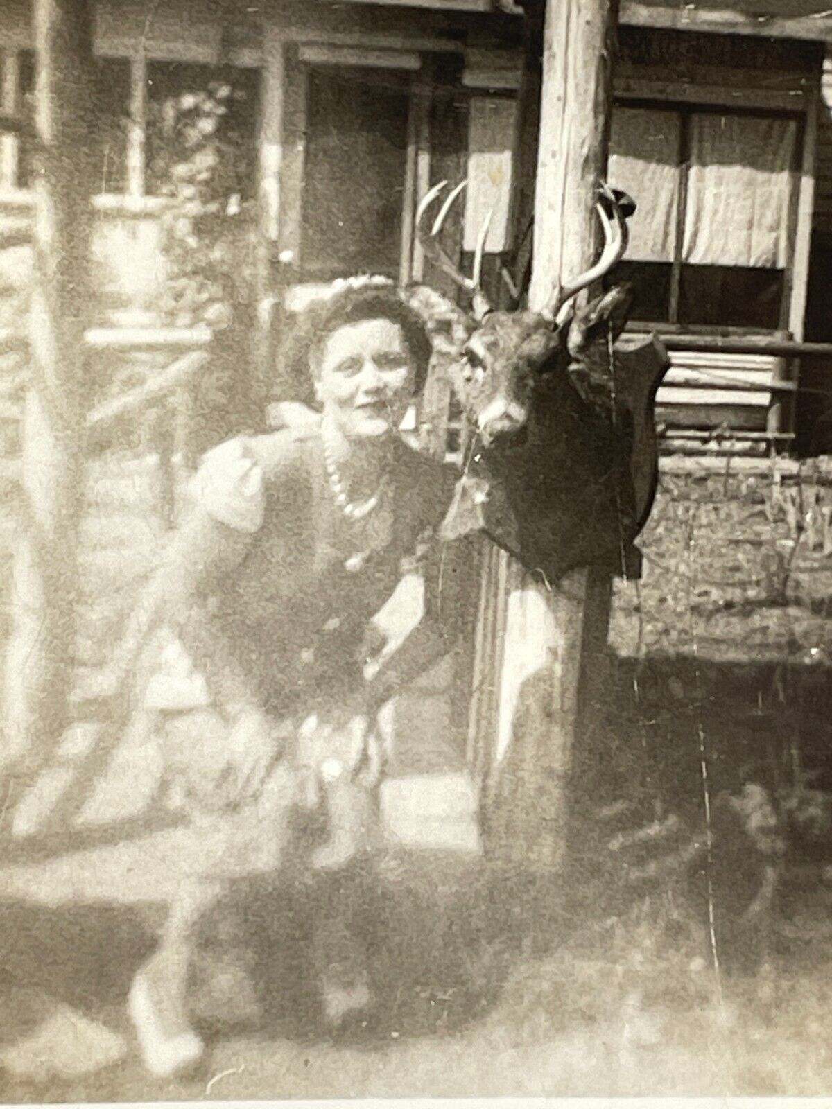 1A Photograph Pretty Beautiful Woman Crouching  Mounted Stuffed Deer Buck 1940s
