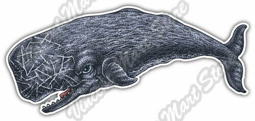 Sperm Whale Cachalot Ocean Life Fish Beast Car Bumper Vinyl Sticker Decal 6\