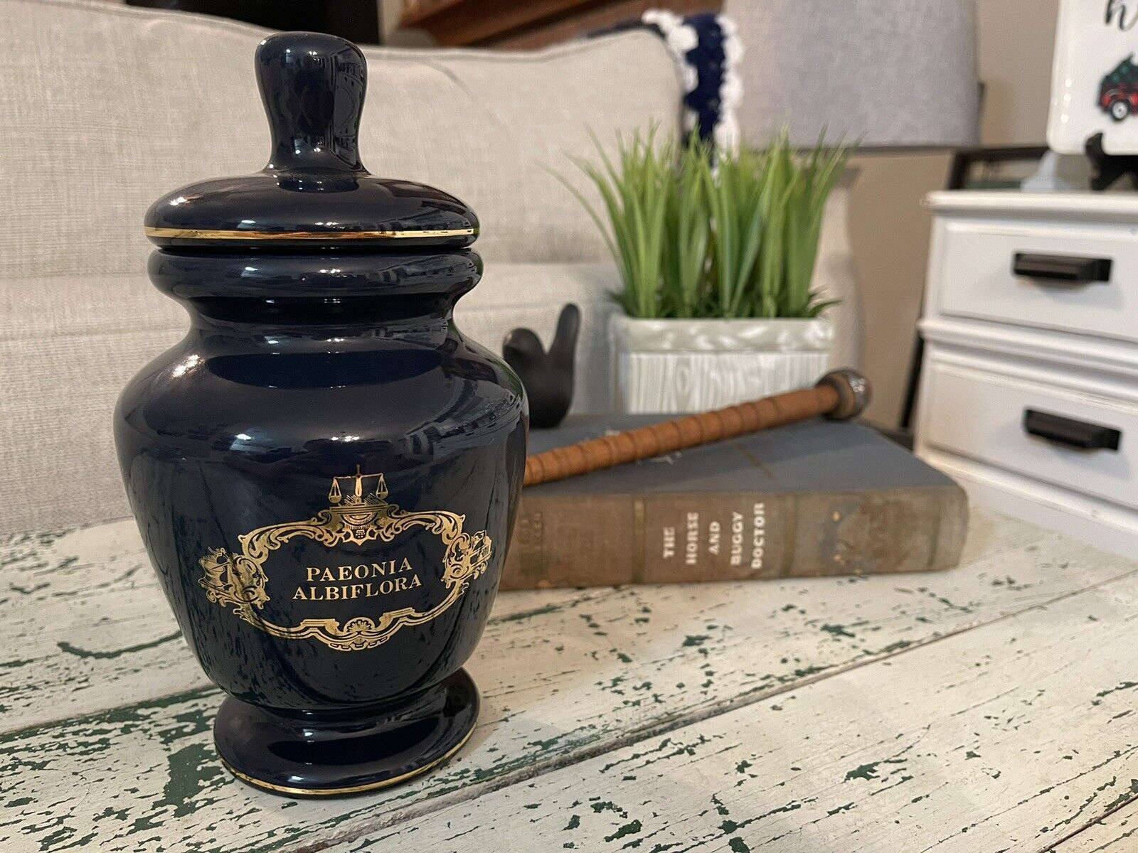 Vintage Eli Lilly Apothecary Pharmacy Jar Paeonia Albiflora Blue/Gold #2/433