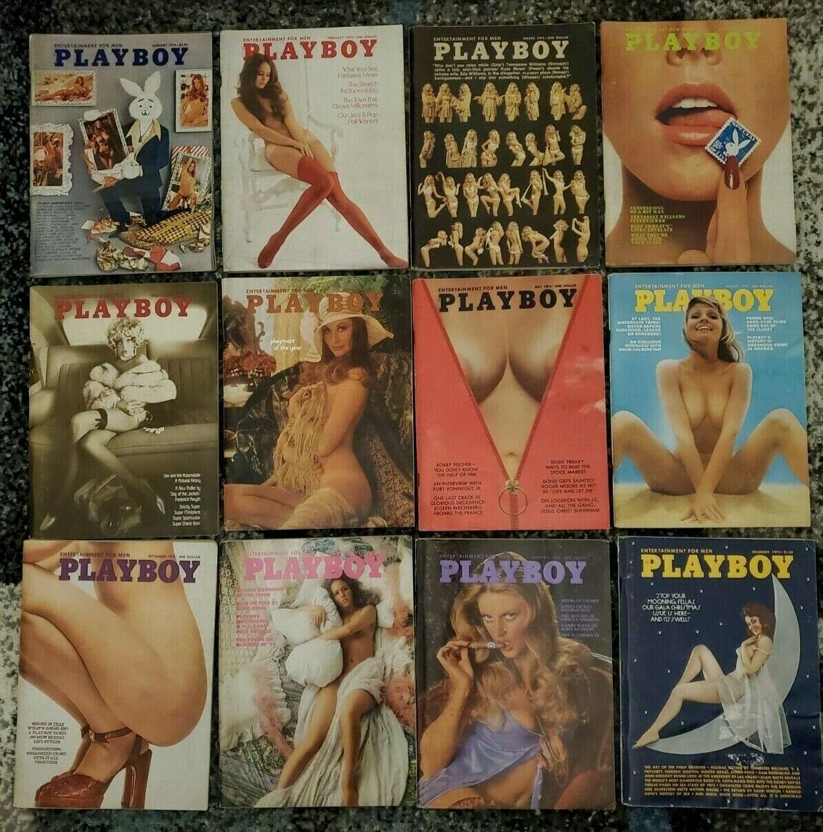 Vintage 1973 Playboy Complete Lot of All 12 Issues. Marilyn Cole Playmate of YR