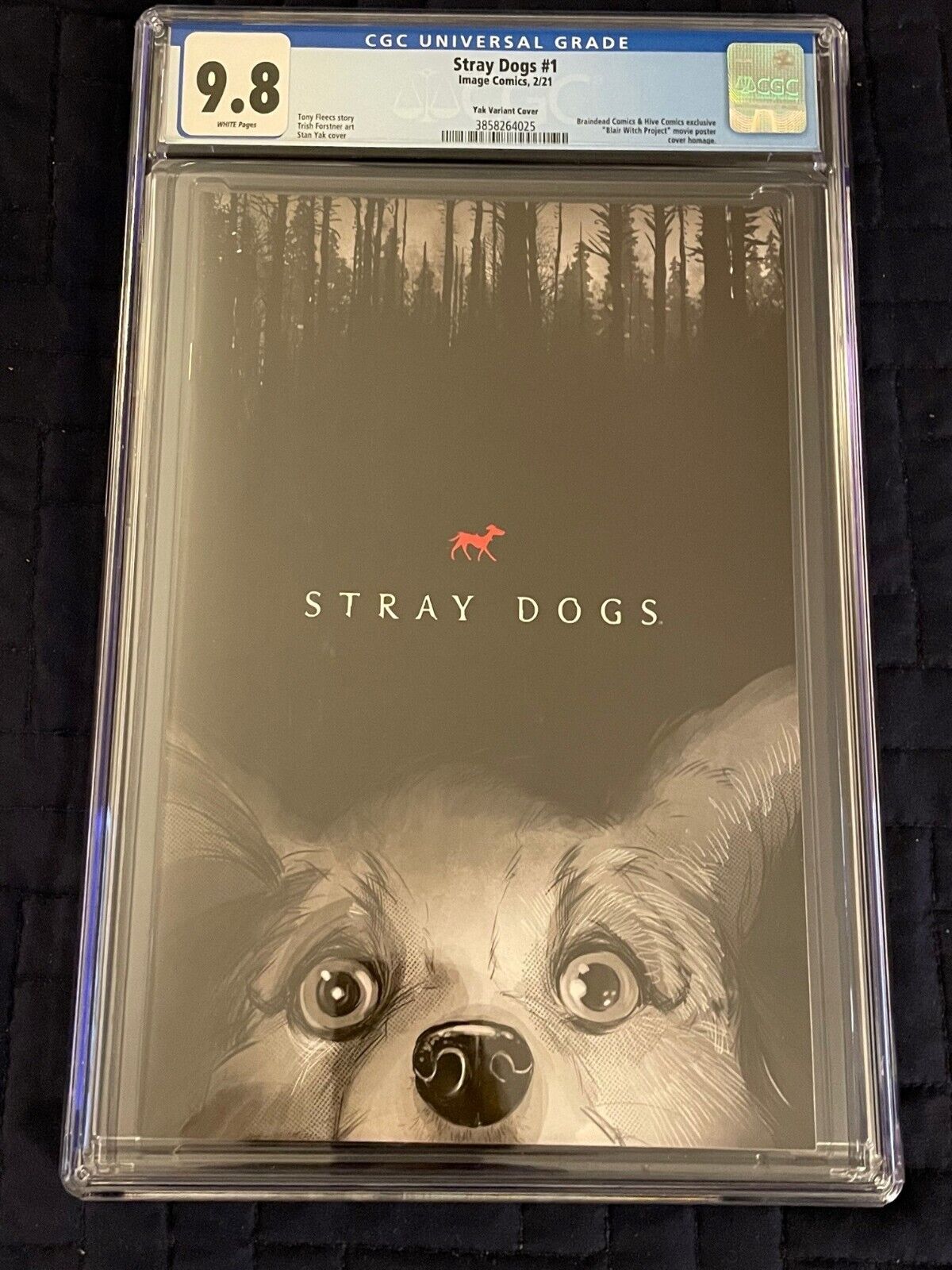 Stray Dogs #1 Blair Witch Homage CGC 9.8 Only 500 Hottest Book Stan Yak 🔥HTF