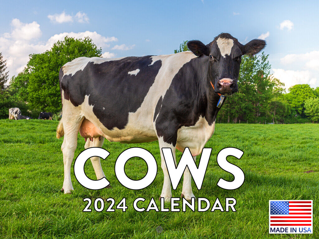 Cow Farm Animal Cattle 2024 Wall Calendar