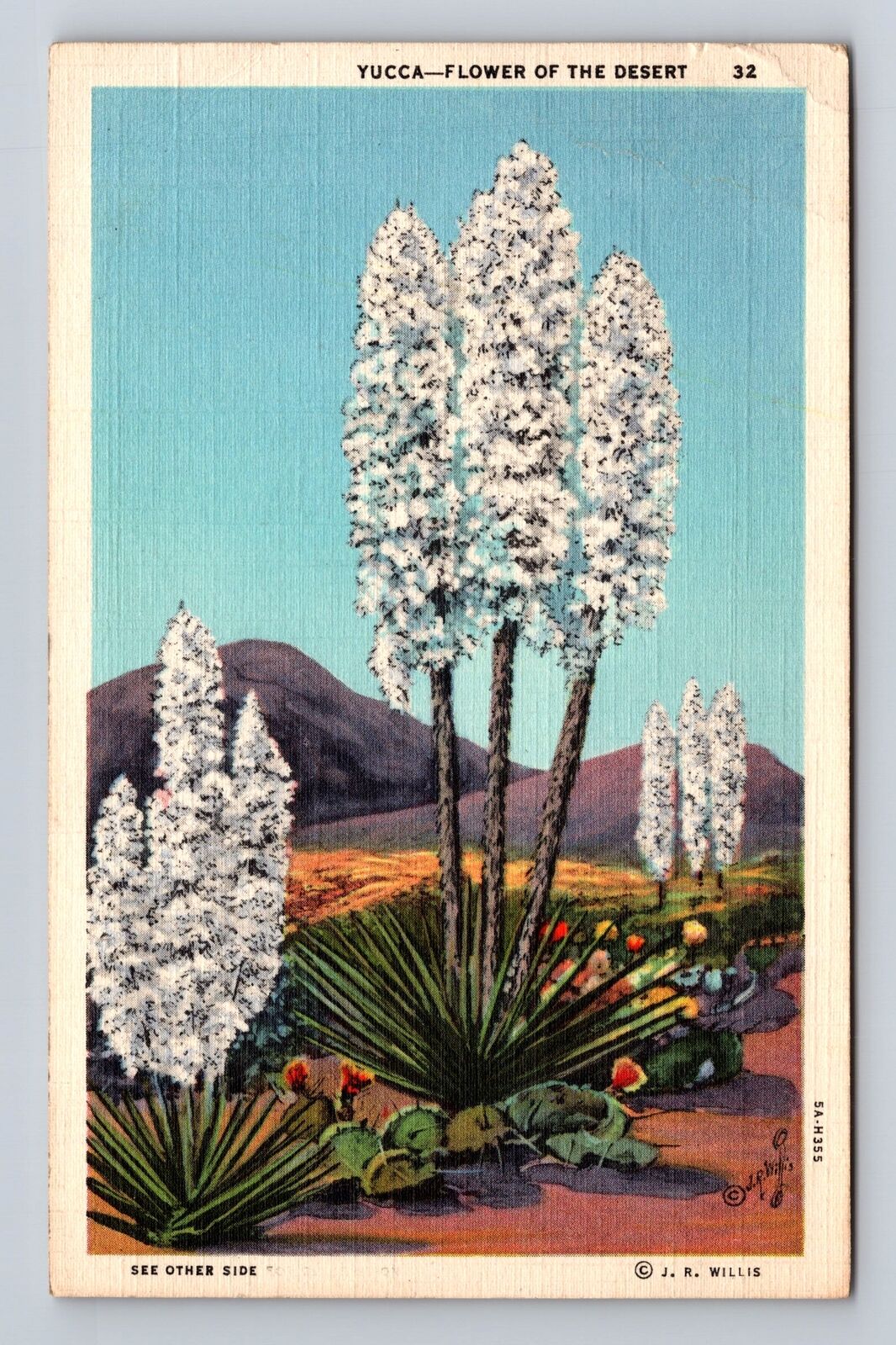 AZ-Arizona, Yucca Flower of the Desert, Vintage c1946 Souvenir Postcard