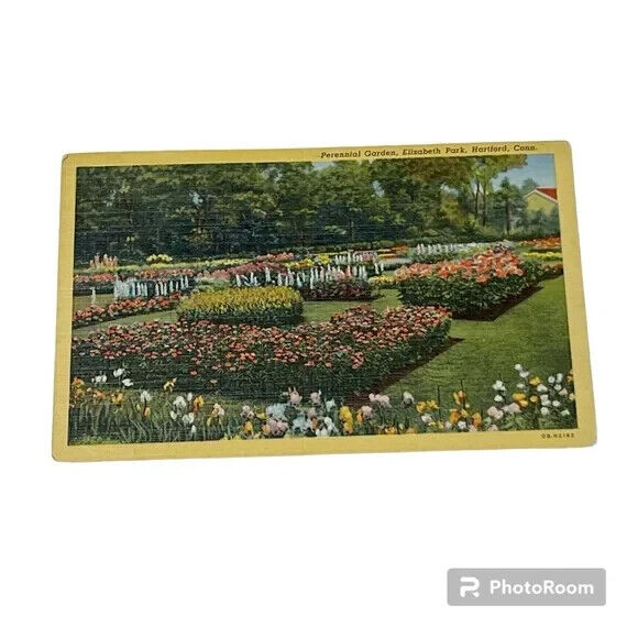 Postcard Perennial Garden Elizabeth Park Hartford Connecticut Vintage c1946 A154
