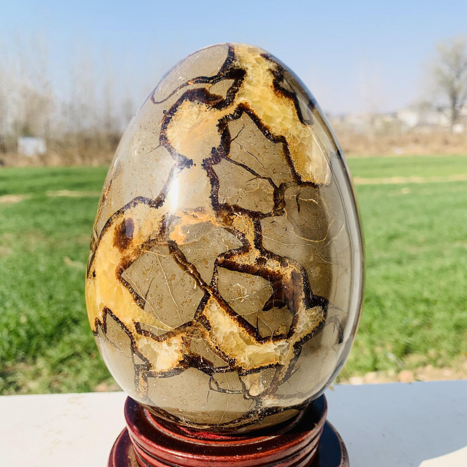 8.04lb Natural Turtle Back Stone Egg Shape Dragon Crystal Crack Mineral specimen