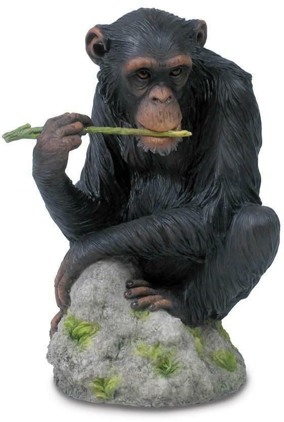 7 Inch Chimpanzee Chewing Branch Sculpture