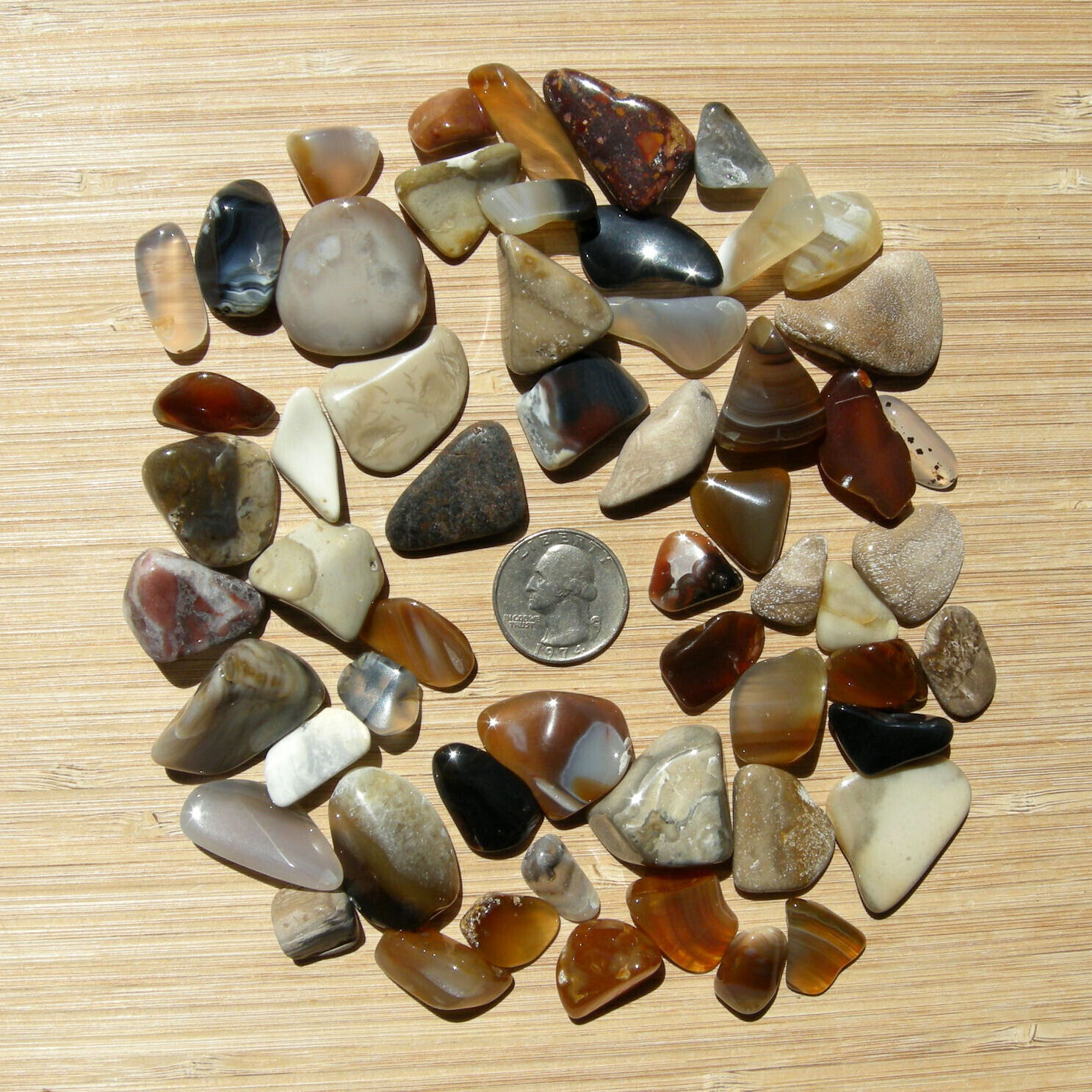 Polished Stones Natural Rock Mix Agate Crystals Jasper Petrified Wood 8oz Lot