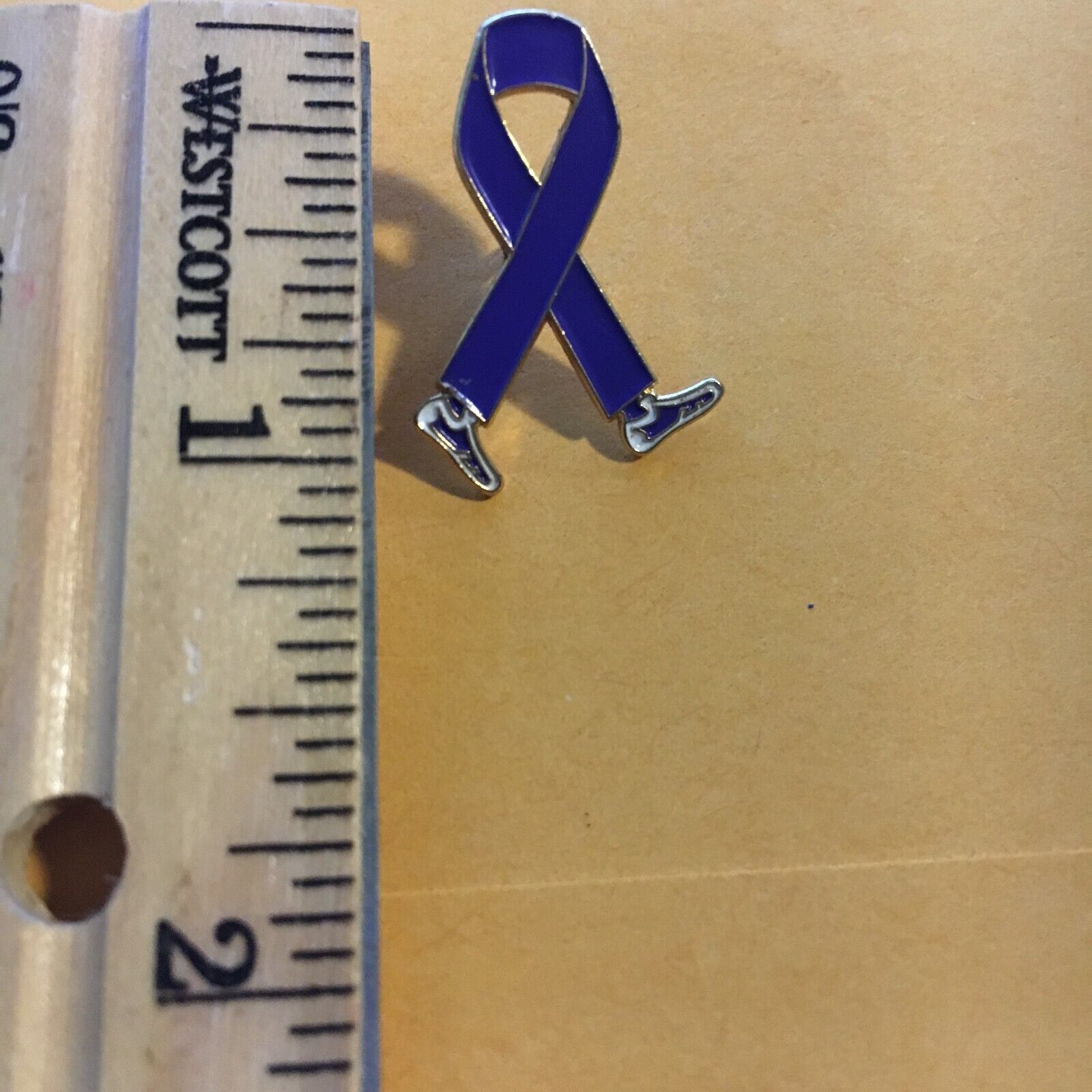 Purple Ribbon Alzheimers Awareness Walk   - 1