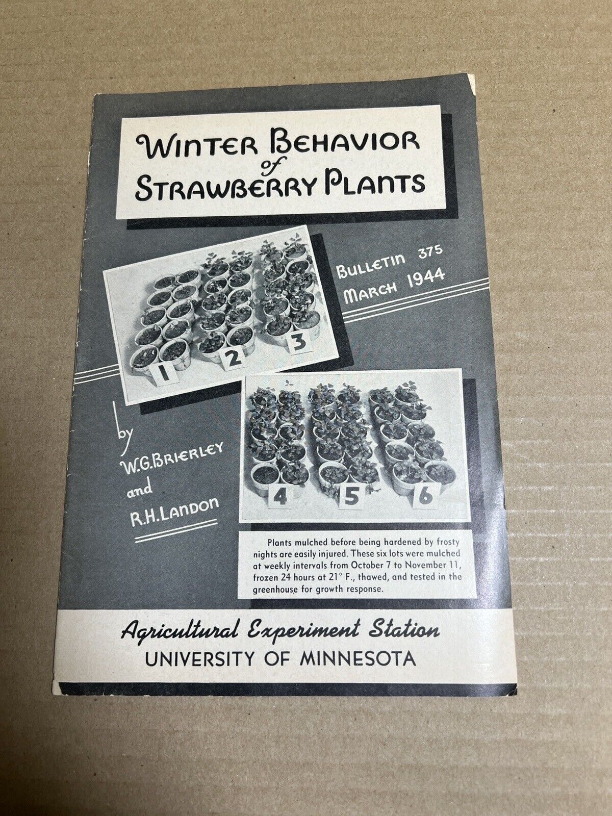 WW2 Winter Behavior of Strawberry Plants Booklet University Minnesota 1944
