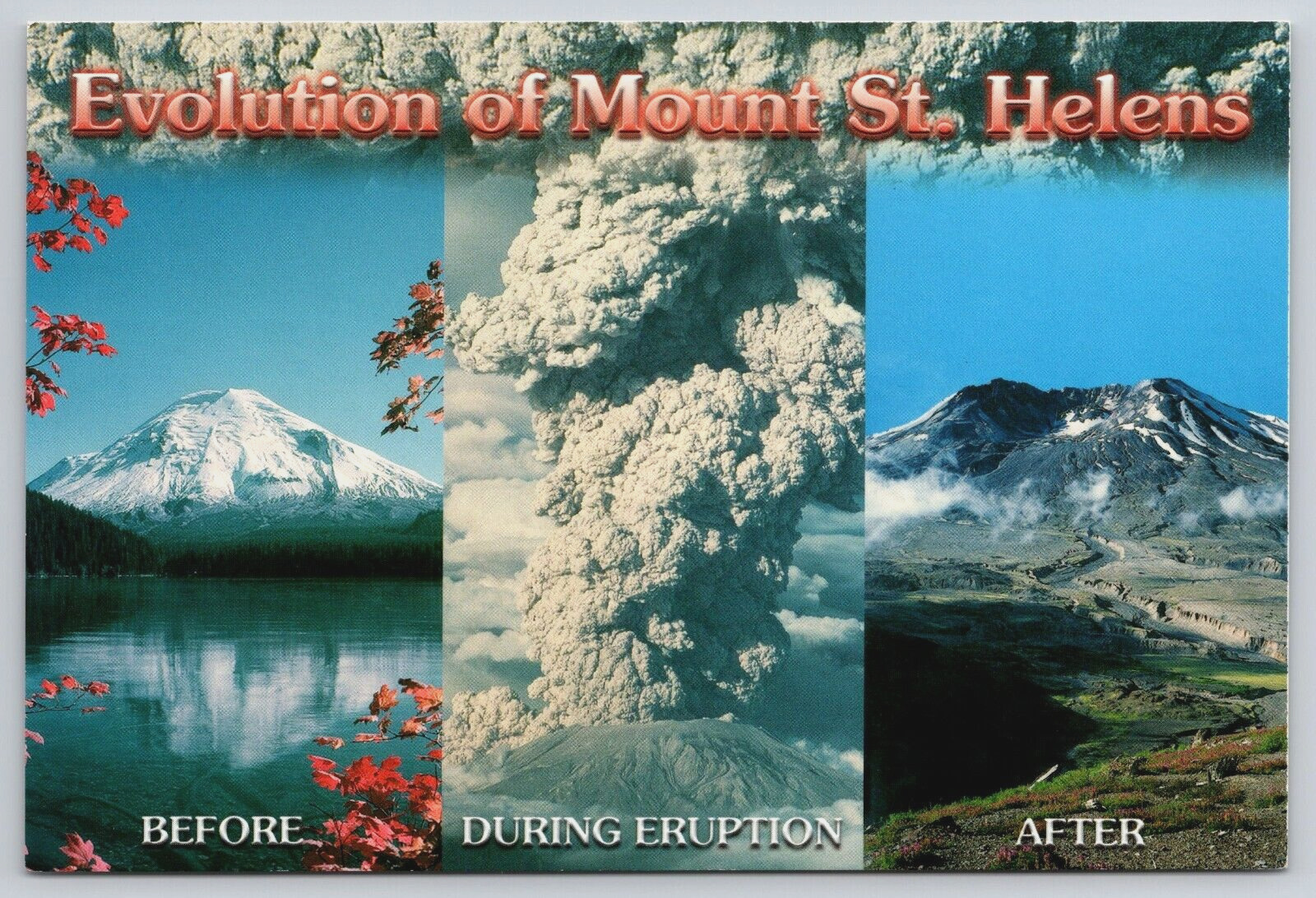 Evolution of Mount St Helens Views Before During Eruption After 6x4 Postcard B18