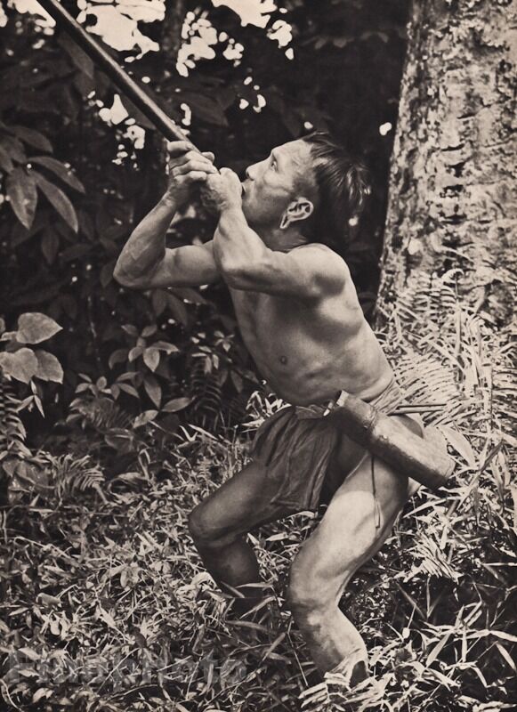 1940 Borneo SEMI NUDE MALE Muscle Blow Dart Jungle Hunter Photo Art By K.F. WONG