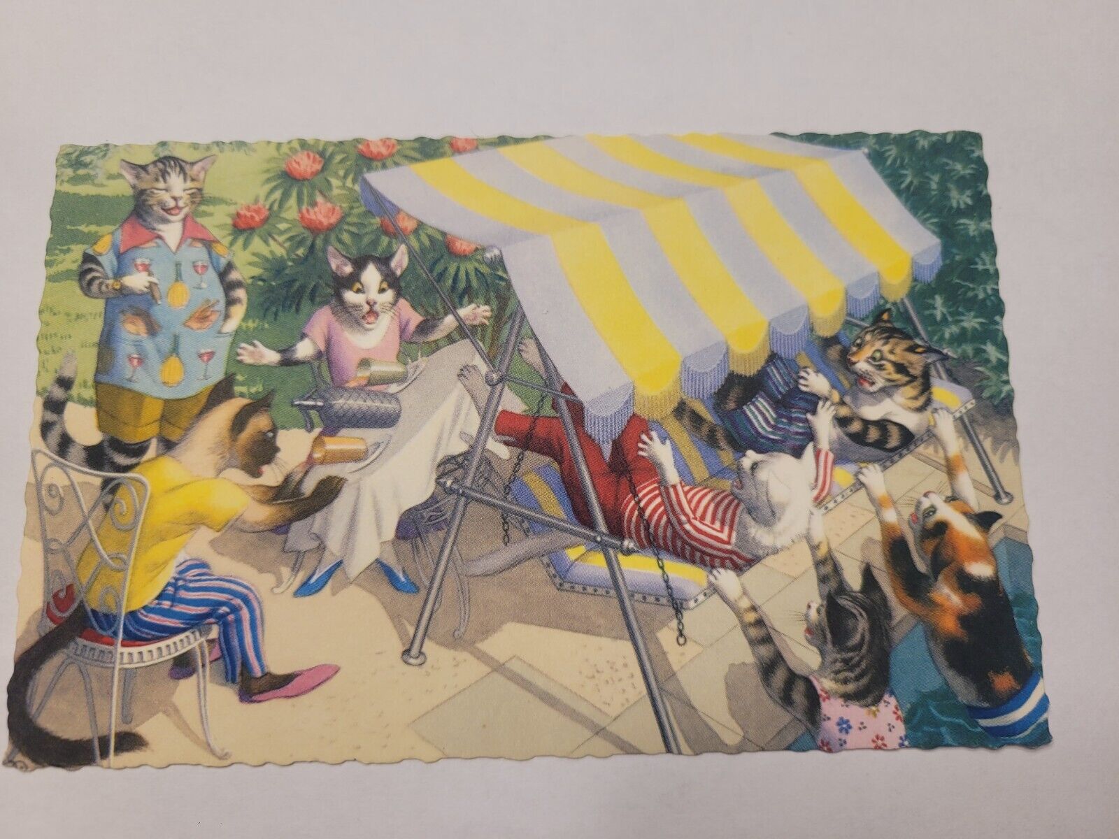 Vintage Alfred MAINZER CATS IN THE BACKYARD POSTCARD Used Has Writing On It 