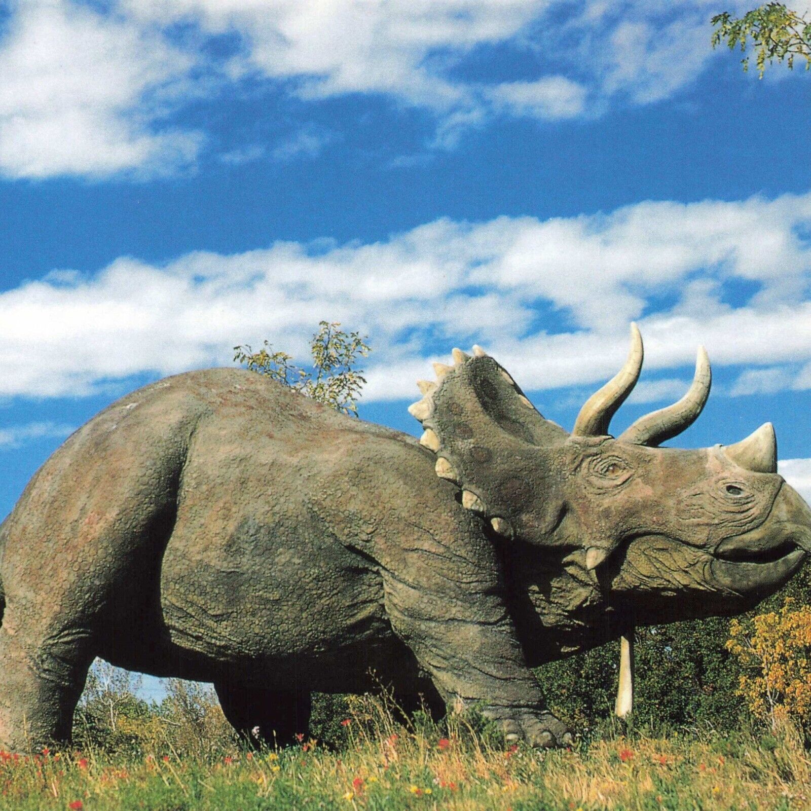 Postcard Dinosaur Park Triceratops UT Ogden George S Eccles Predator 