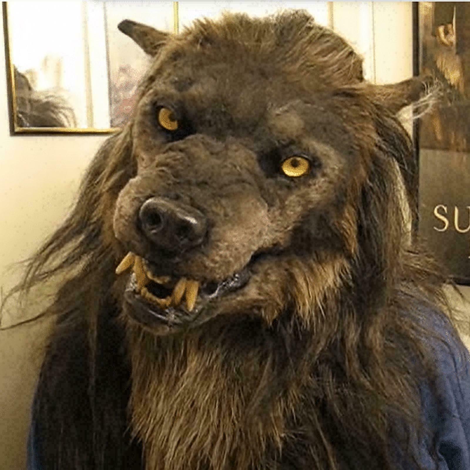 Wolf Mask Faux Werewolf Mask Wolfman Masks Latex Costume Prop Halloween Novelty