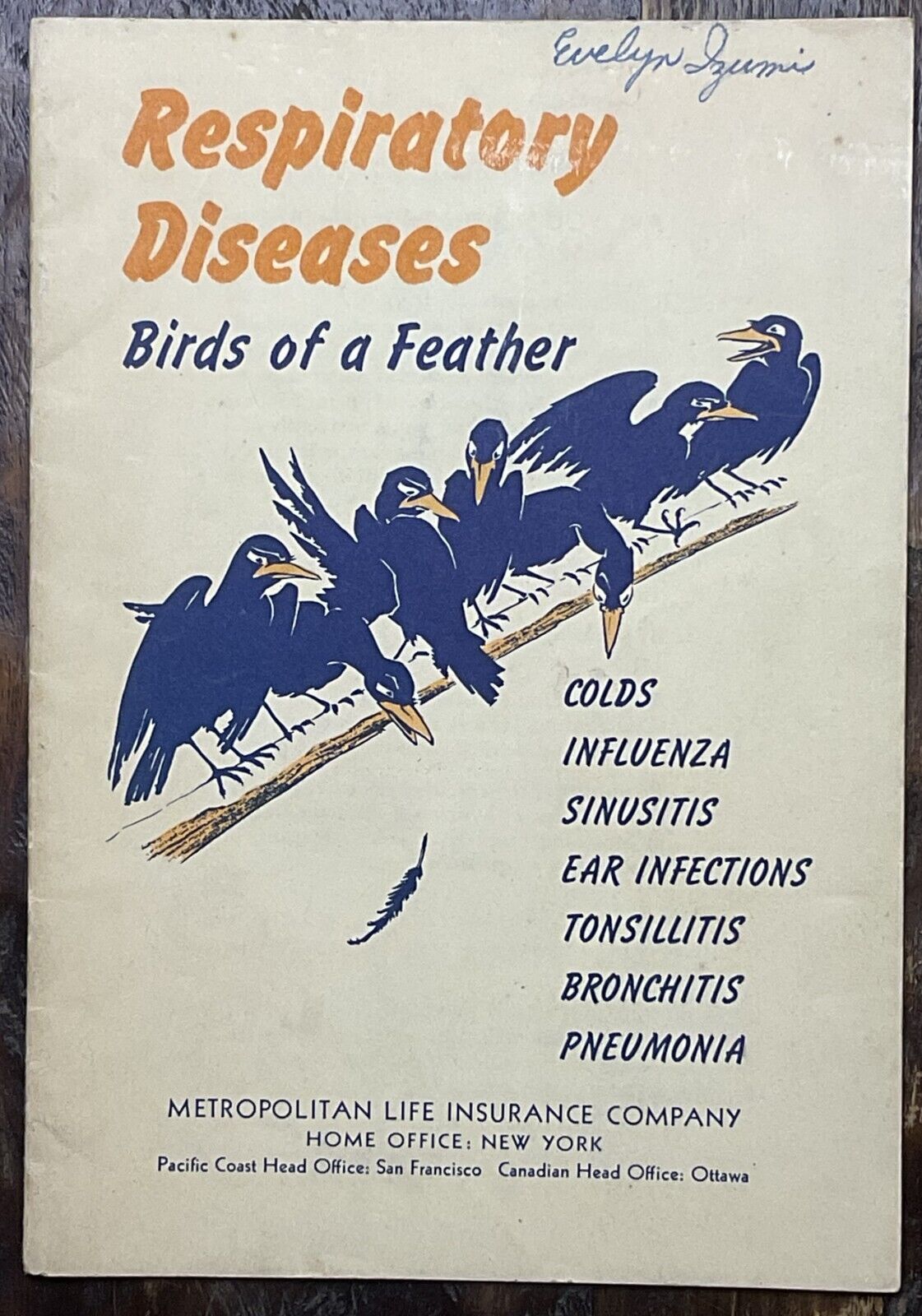1930s Respiratory Diseases Birds of a Feather Metropolitan Life Insurance Co.