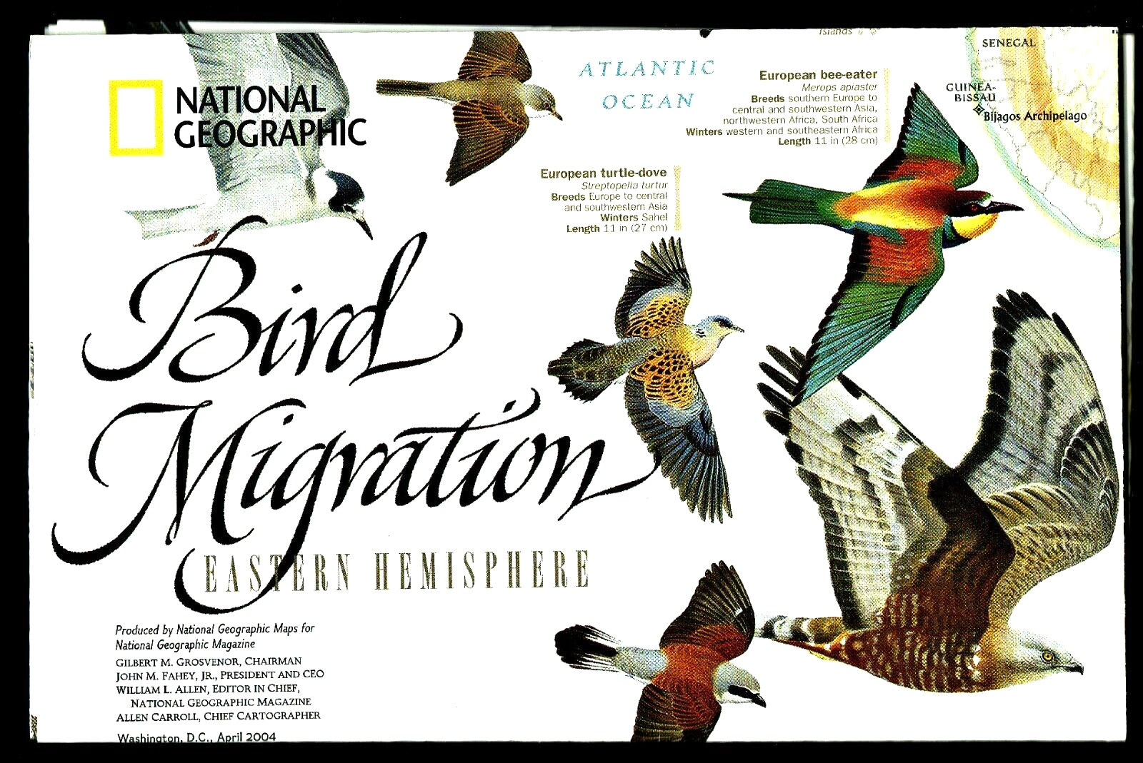 ⫸ 2004-4 April BIRD MIGRATION East & West Hemispheres National Geographic Map A3