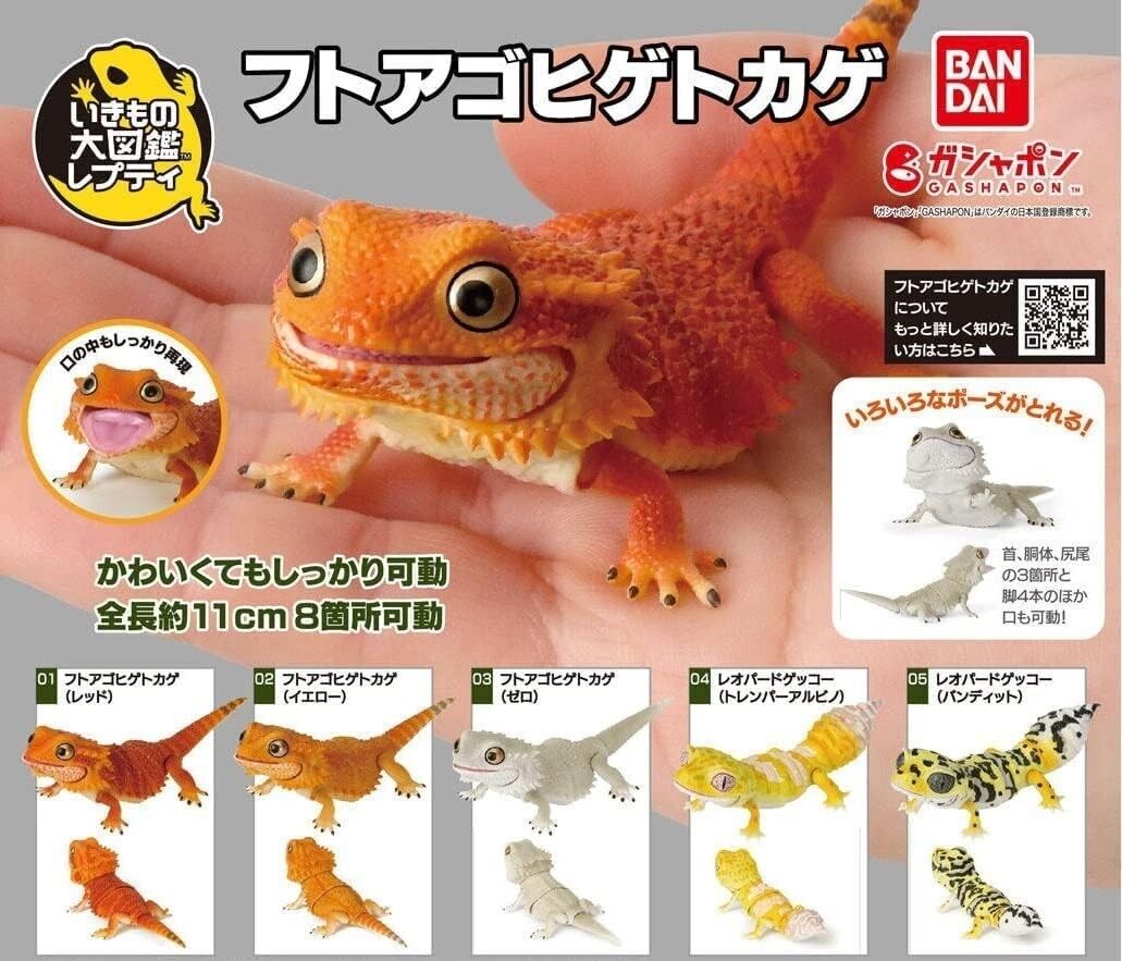 Diversity of Life on Earth Bearded Dragon Figure Bandai Gashapon Toys set of 5