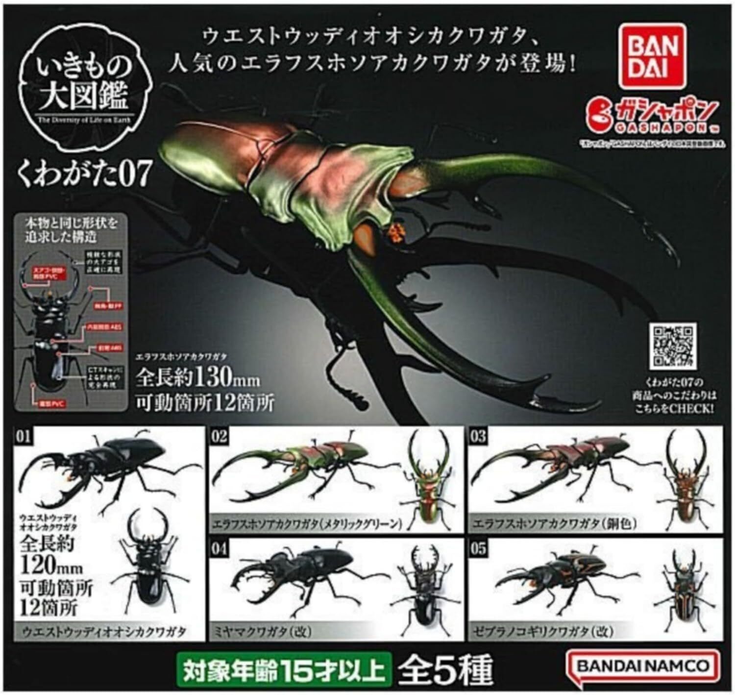F/S Capsule Toy Gashapon Complete set Ikimono encyclopedia Stug Beetle BANDAI
