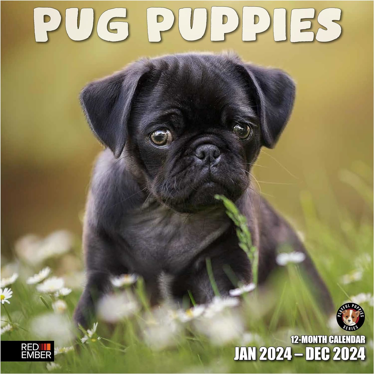 RED EMBER Pug Puppies 2024 Hangable Monthly Wall Calendar | 12\