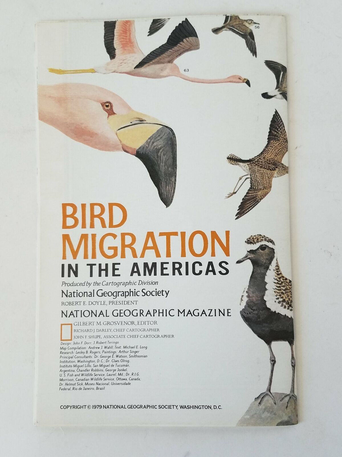 National Geographic Magazine Issue August 1979 Bird Migration in The Americas