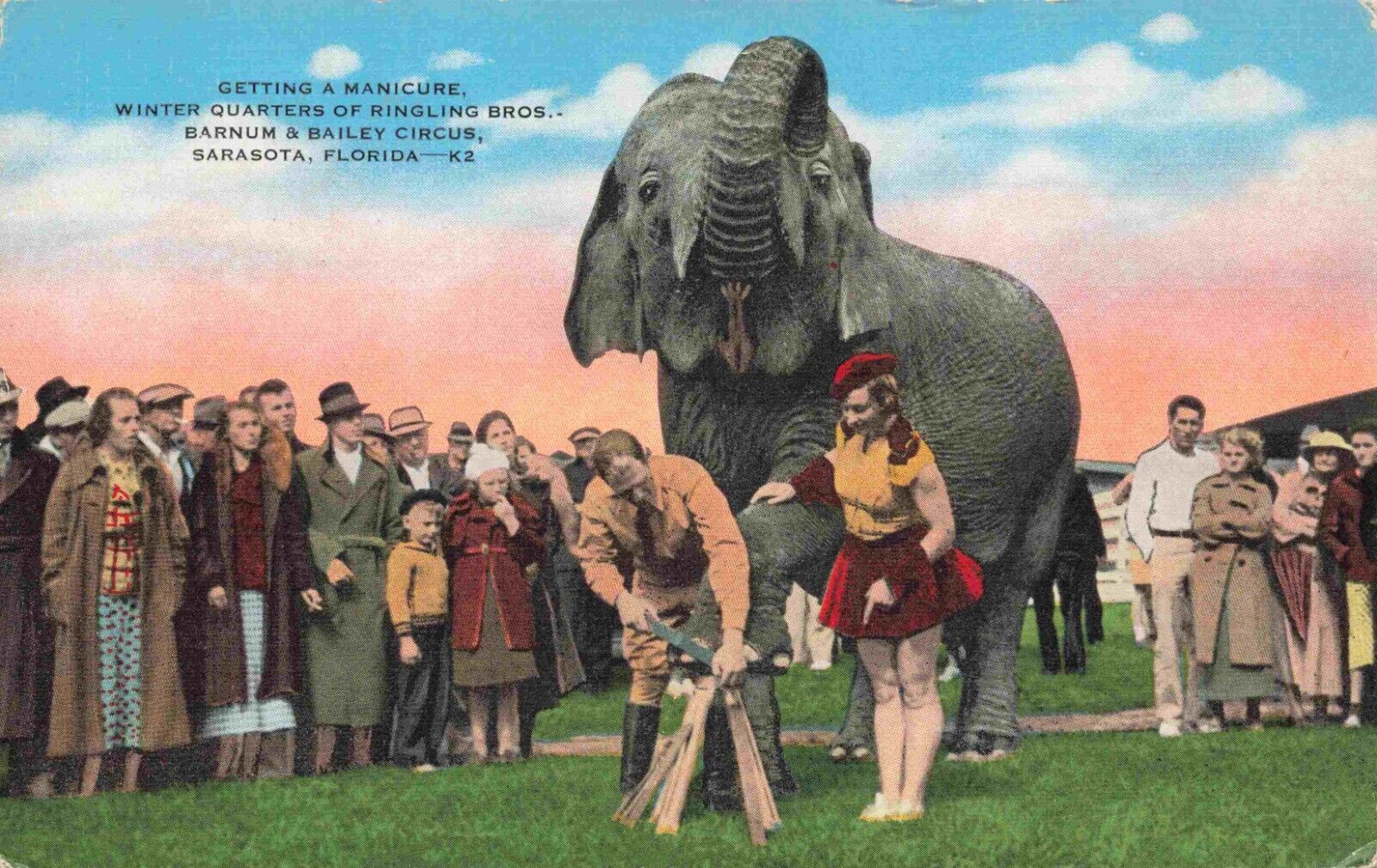 Circus Elephant Trim Nails Ringling Bros Barnum & Bailey Unused Linen Postcard