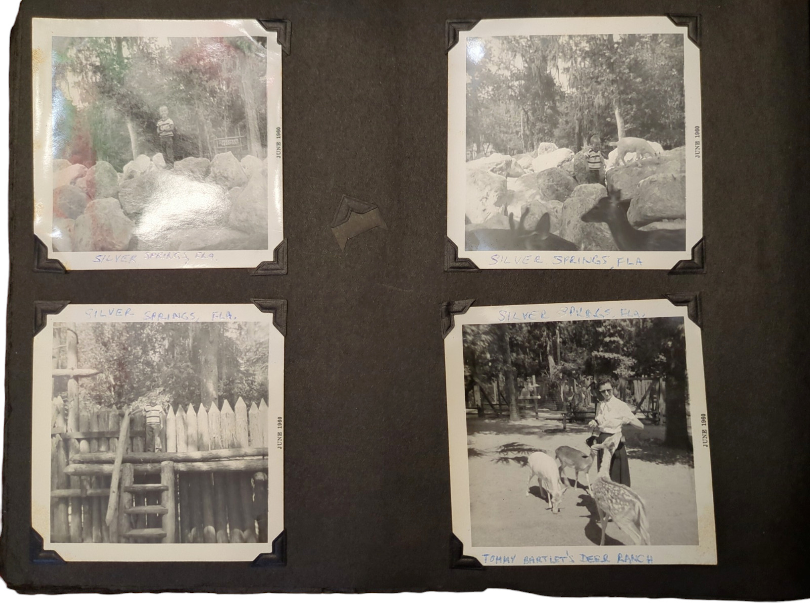Vintage 1950s Family Photo Album Over 130 Various B&W Photos