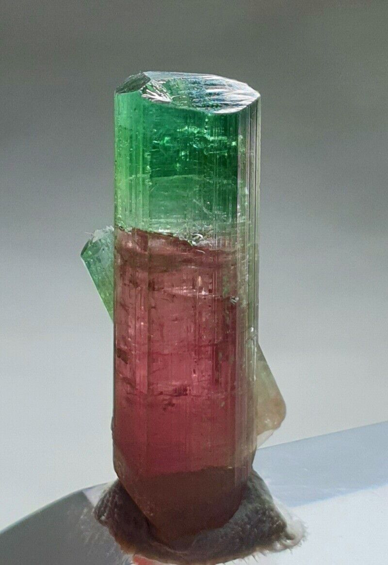 Beautiful Watermelon Tourmaline Unique Double Terminated Crystal. N
