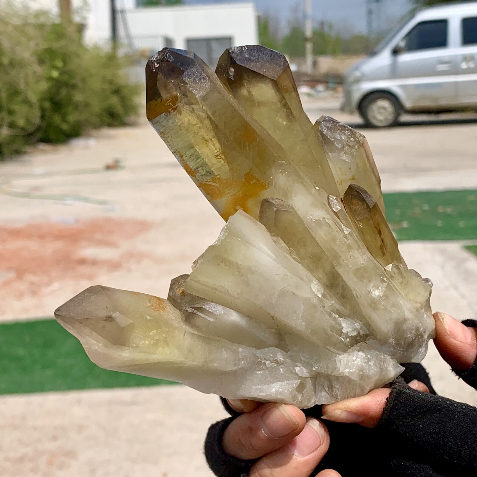1.22LB Natural Citrine cluster mineral specimen quartz crystal healing