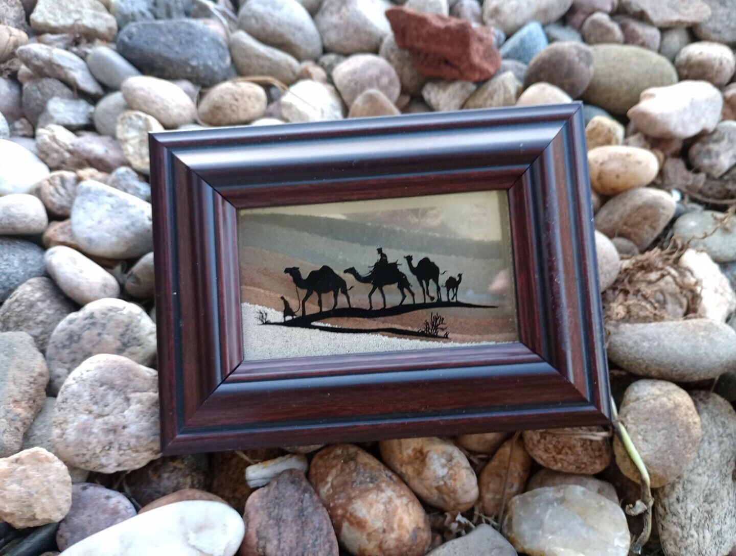7 Emirates Of UAE Seven Natural Color Of Sands Camel Picture 5.5 In X 4 In 