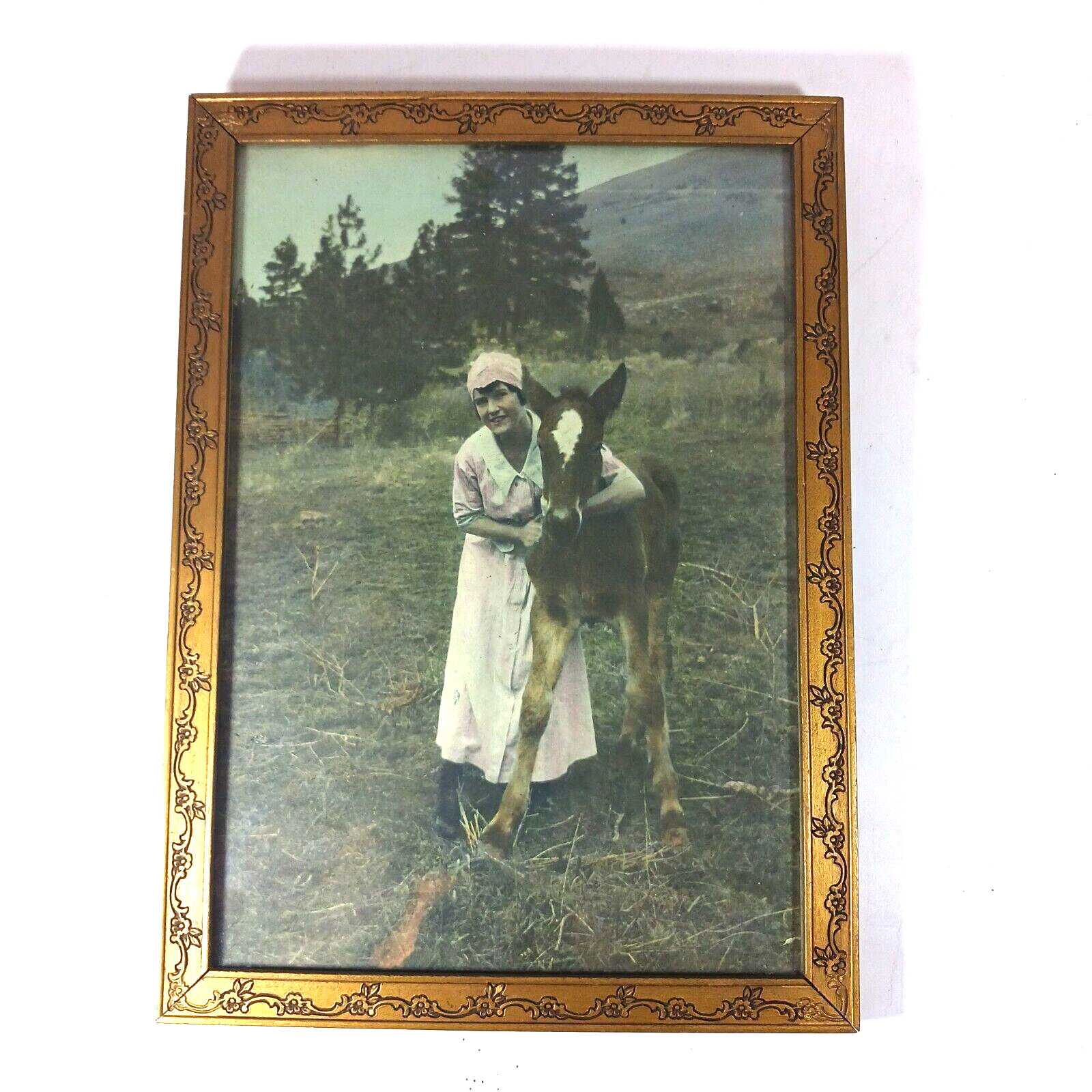 Antique Hand tinted Photograph Woman and Horse Foal Cottagecore Framed