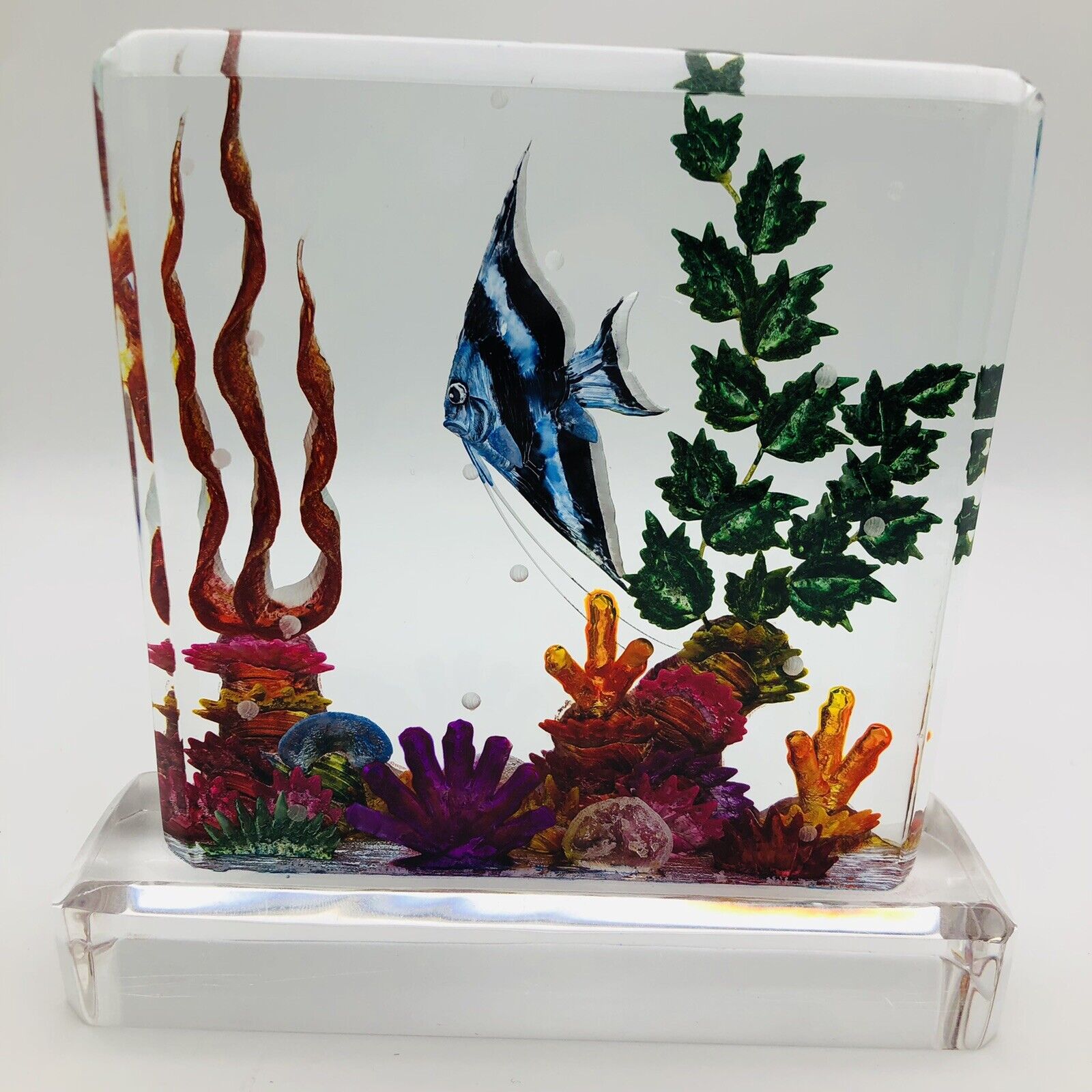 5 1/2” Pretty Laser Etched Acrylic Tropical Fish Ocean/Reef Scene Paper Weight