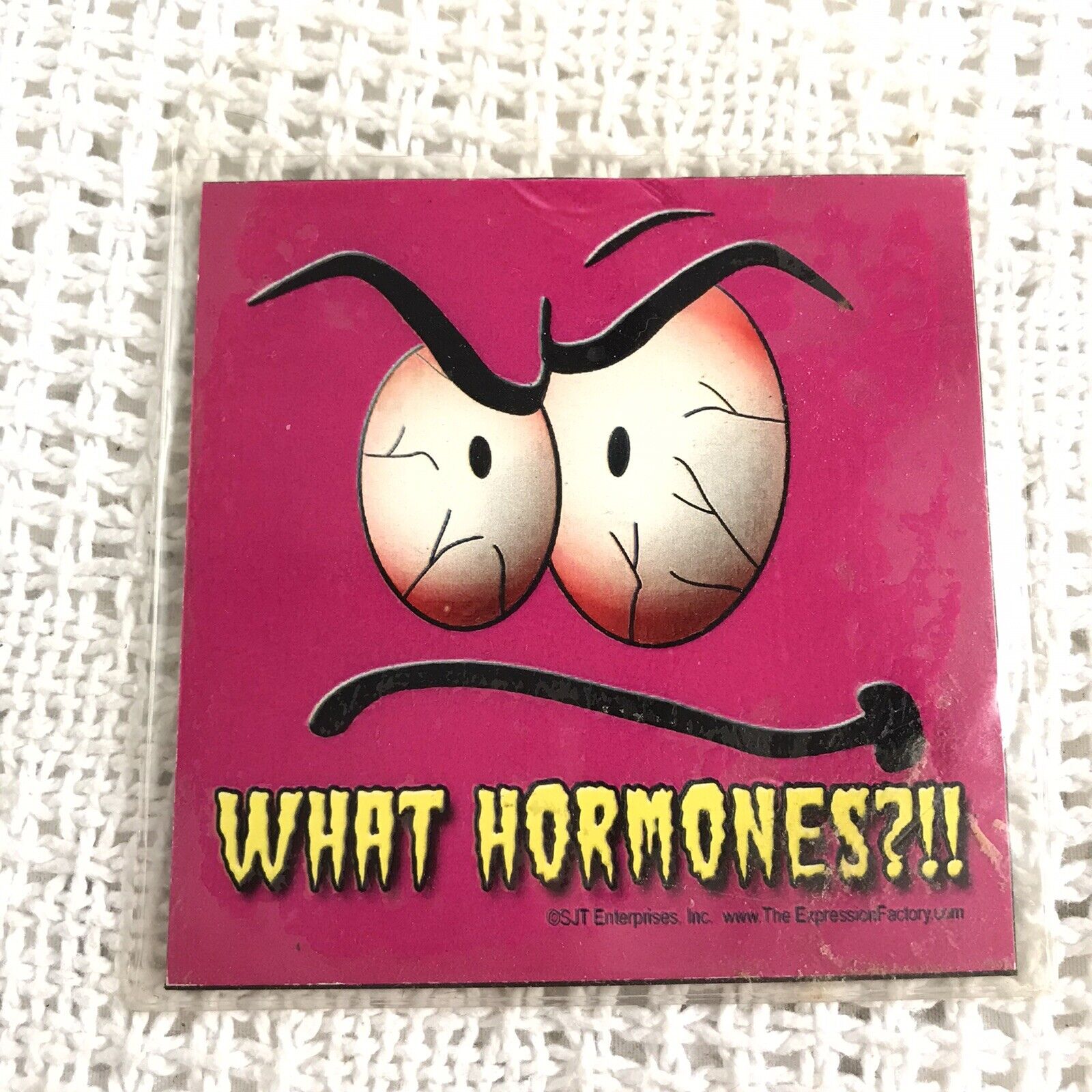 What Hormones Magnet Funny Novelty Gift Shop Dead Stock NEW