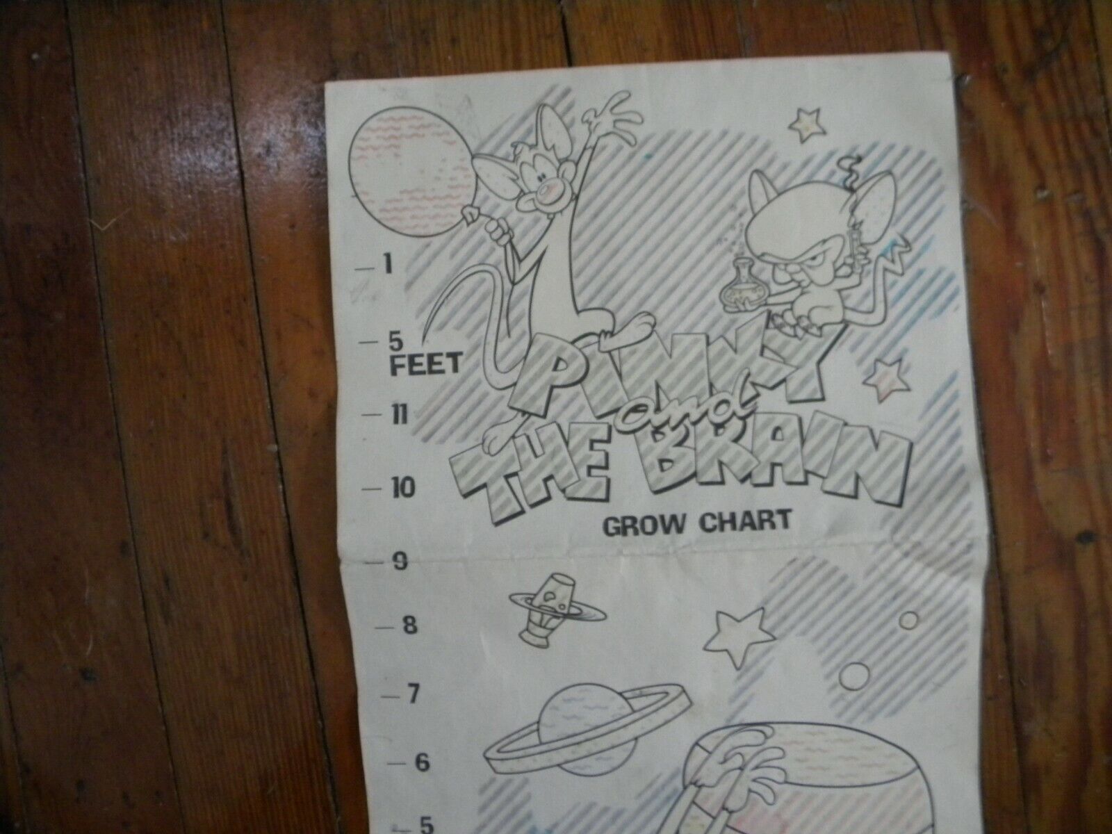 1997 PINKY and the BRAIN GROWTH CHART-Warner Brothers -measures up to 5 Ft L@@K