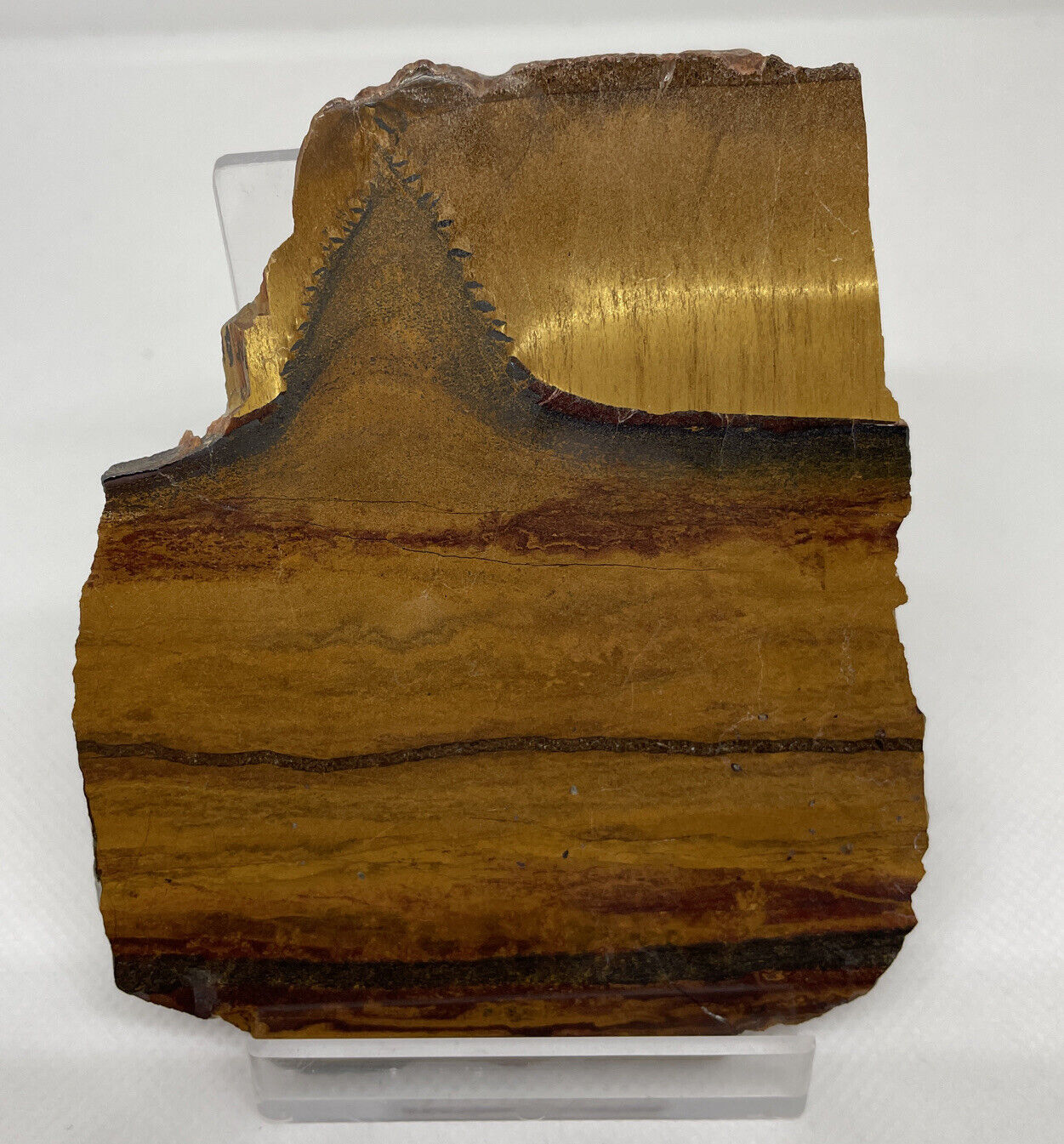 Stromatolite Fossil 2.7 BILLION Years Old Tigers Eye Australia  Archean ID/COA