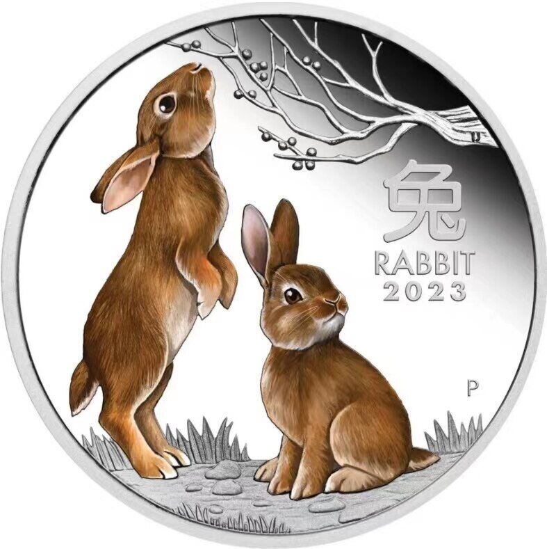New 2023 Year of The Rabbit Australia Animal Commemorative Coins Gifts Silver 