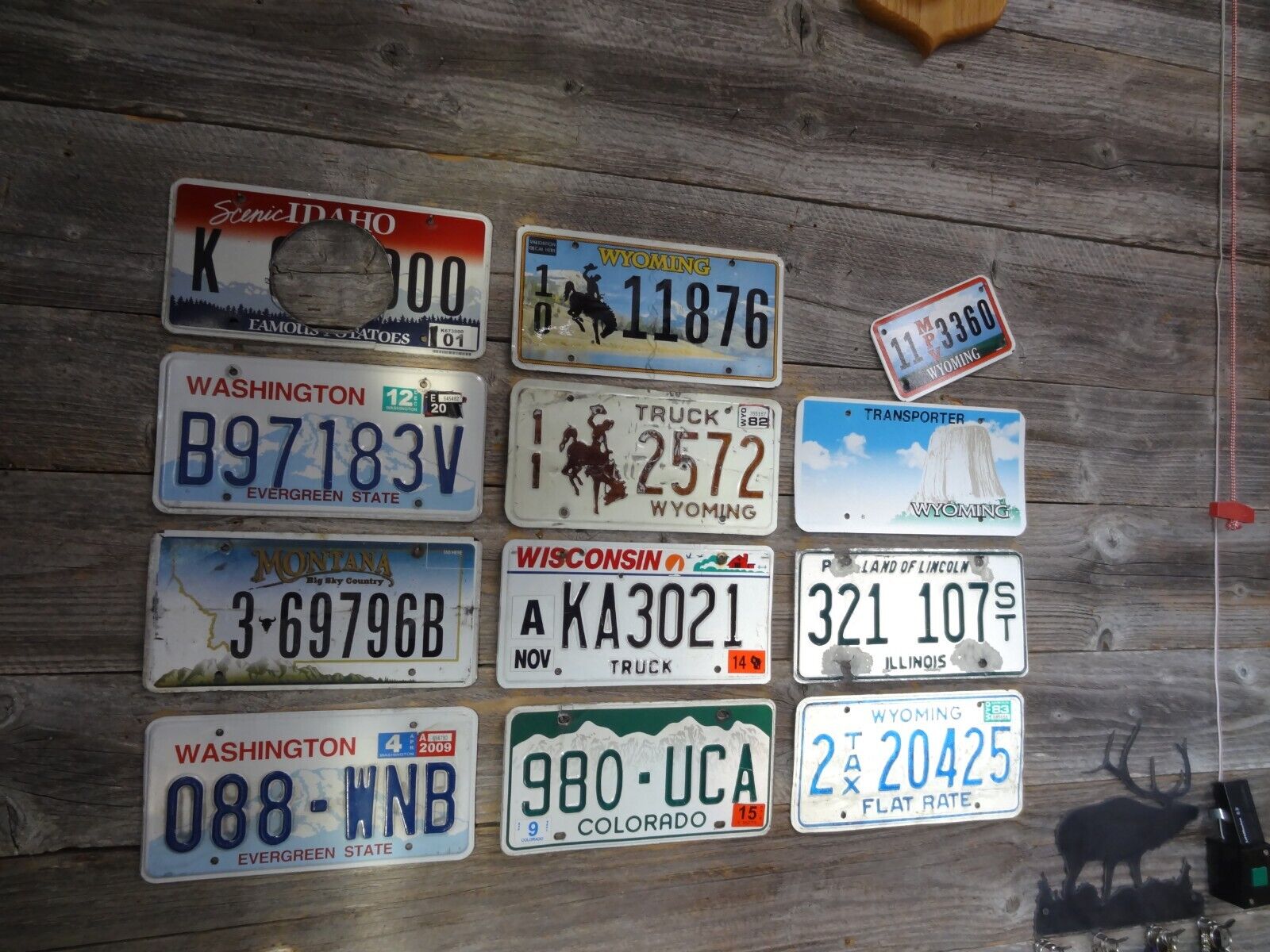 Craft Road Kill License Plates 12 License Plates with damage great for crafts