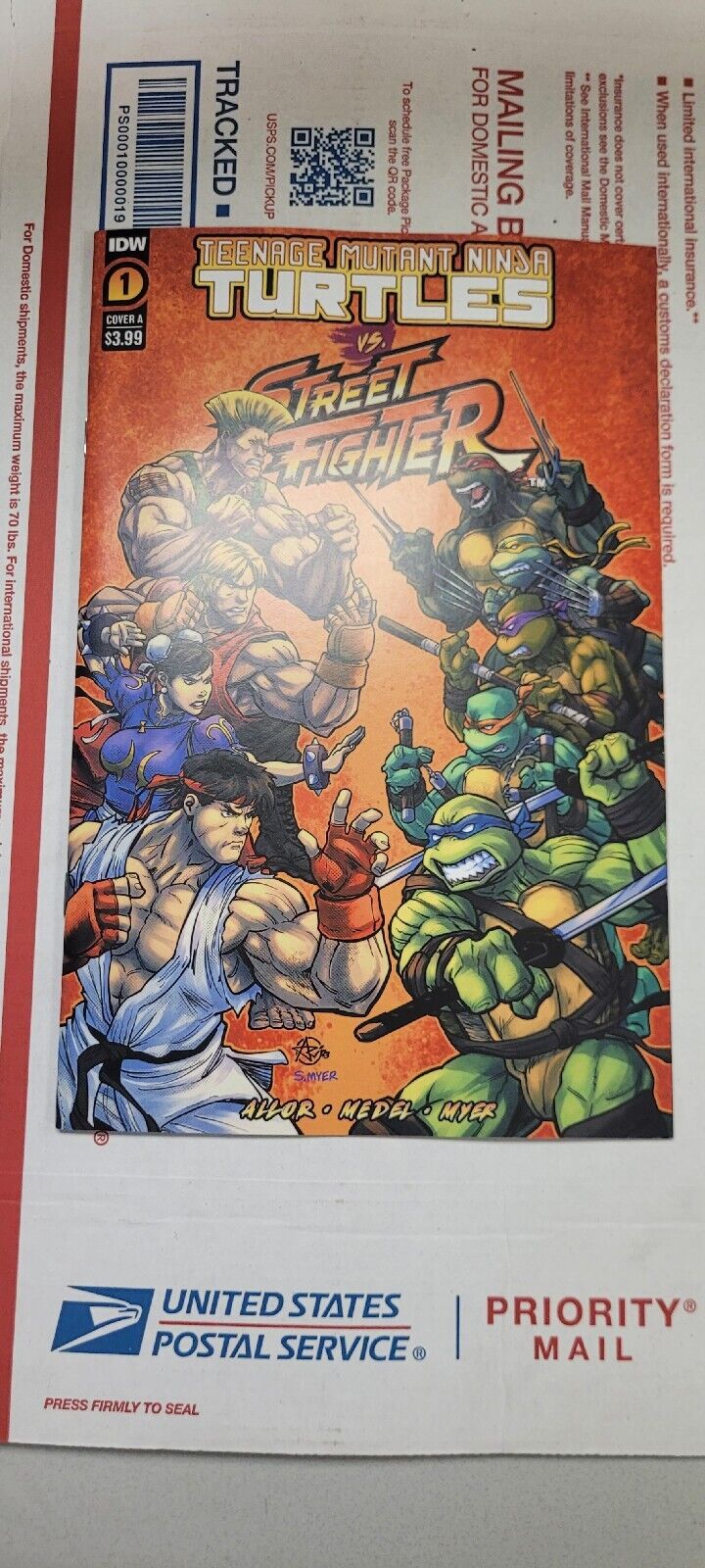 Teenage Mutant Ninja Turtles vs. Street Fighter #1 Cover A (Medel) NM- Or Better