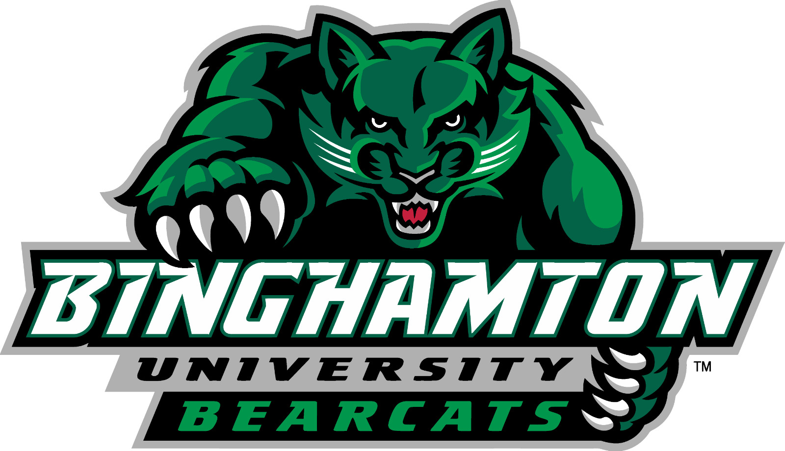 Binghamton Bearcats NCAA College Team Logo 4\