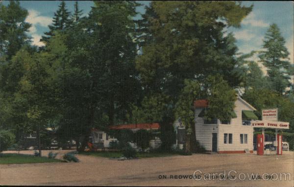 Crescent City,CA Symns Camp Del Norte County California E.B. Thomas Postcard