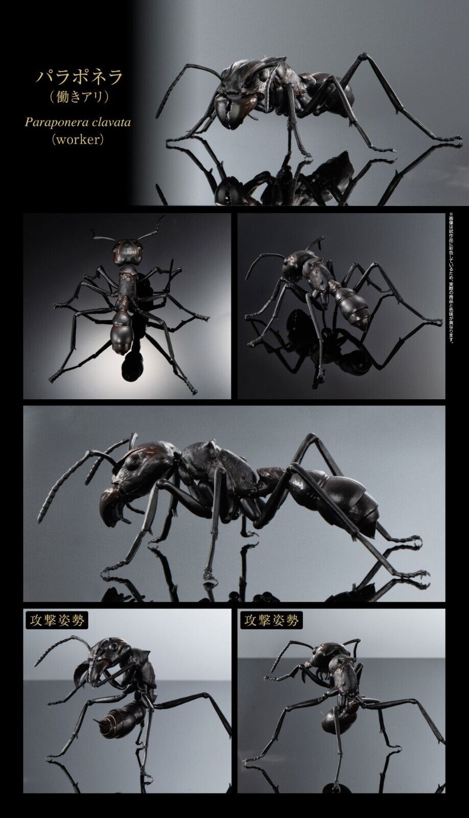 Diversity of Life on Earth Ant Bandai Gashapon Figure Toys Paraponera Clavata