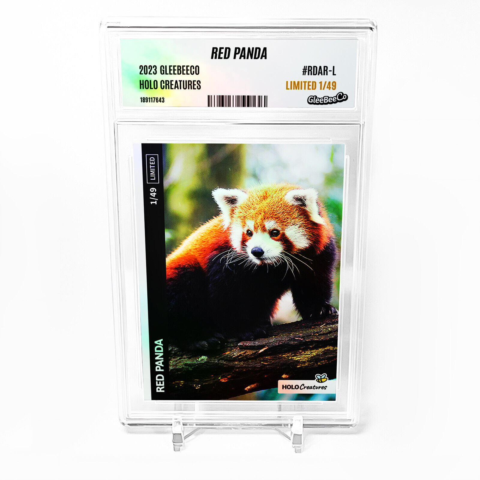 RED PANDA Photo Card 2023 GleeBeeCo Holo Creatures Slabbed #RDAR-L Only /49