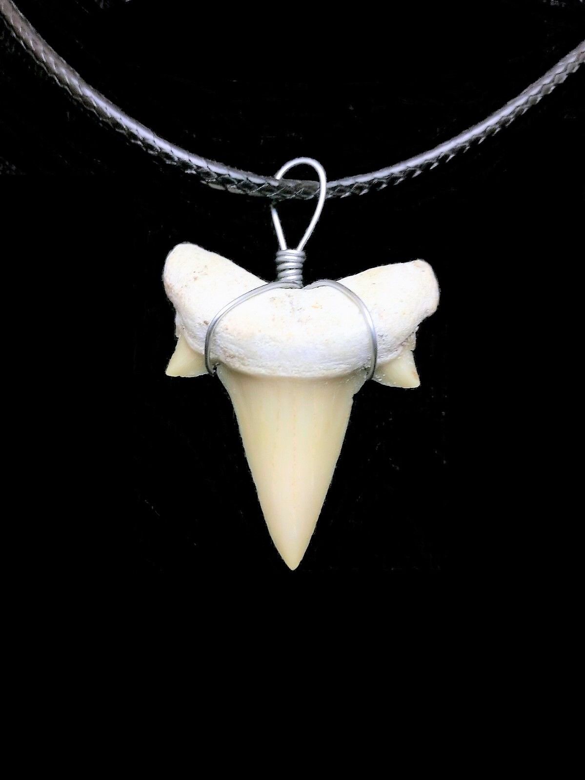 OTODUS TOOTH REAL SHARK NECKLACE FOSSIL PENDANT MEGALODON EXTINCT ANCESTOR RELIC