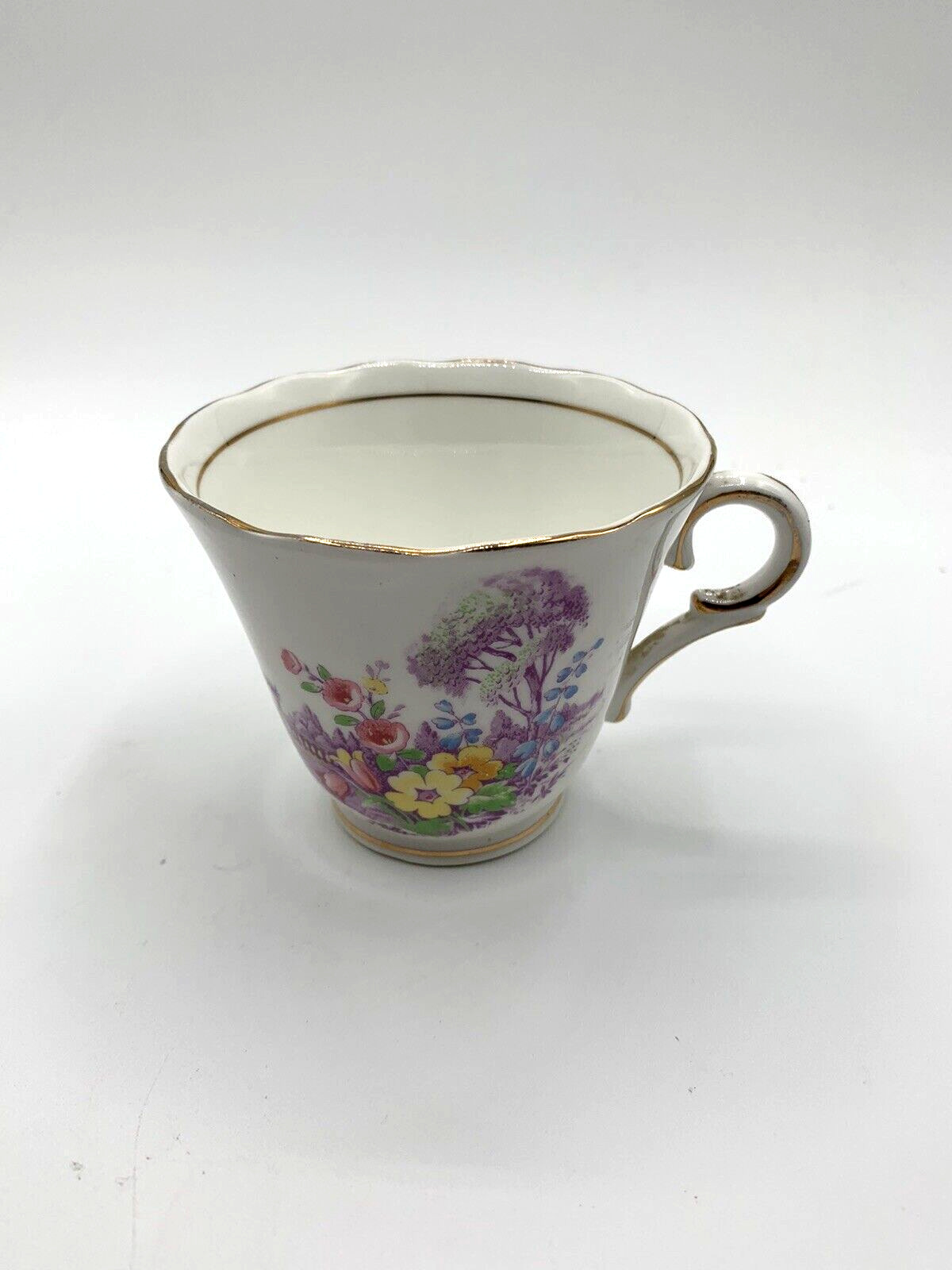 Vintage Colcough China Floral Garden Tea Cup 6 oz English Bone China